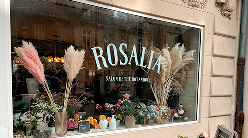 rosalia_concept